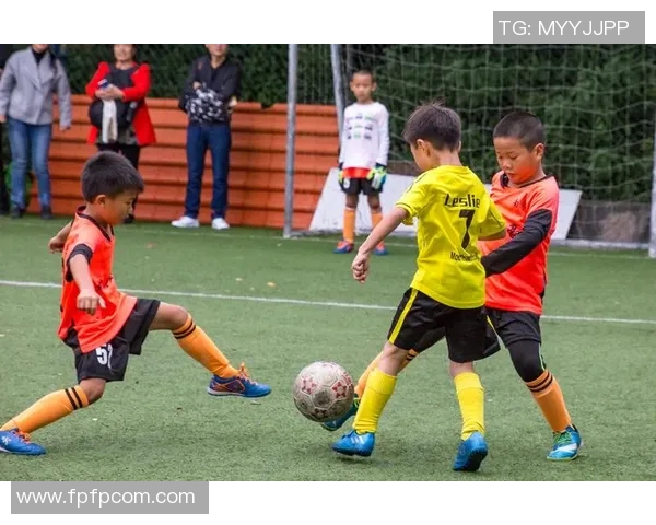 广州极限运动队的运营模式与发展趋势深度解析