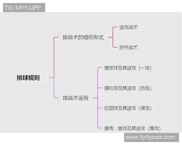 深圳排球队配合策略分析与战术提升探讨