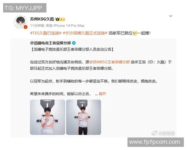 聚焦王者荣耀TES团队协作的成功秘诀与挑战分析