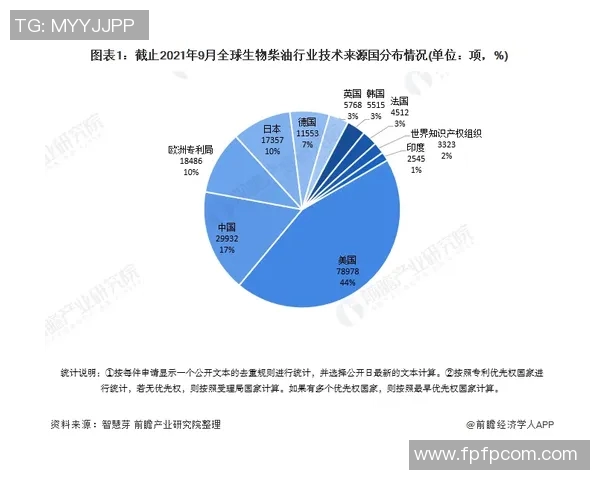 上海排球队的个人能力揭秘：从技术到心理的全面分析与探讨