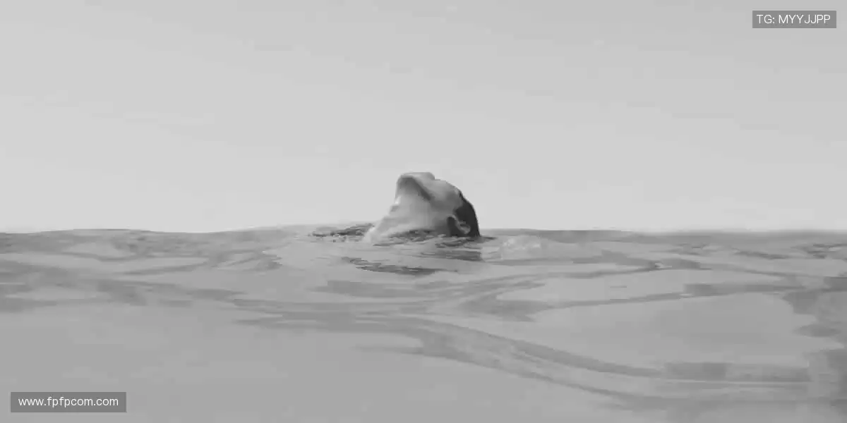 全球赛事同步直播，实时数据掌控赛场！📊 每一秒都不容错过！